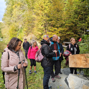 Meeting-Danube-Woods-Route