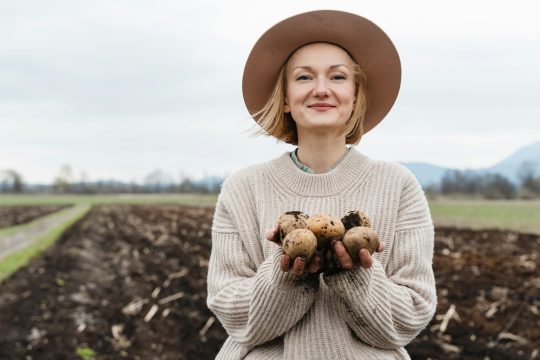 MEDIUL RURAL - PNS - Investiții în legume/ cartofi